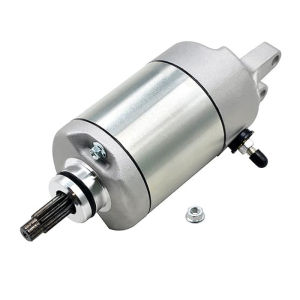 Starter Motor for Honda TRX250 TRX300 ATV Replacement Engine Starting Part