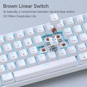 Dk61se Bàn Phím Cơ 61 phím 60% bố trí Loại-C có dây hỗn hợp ánh sáng đầy màu sắc cho windows và MAC OS