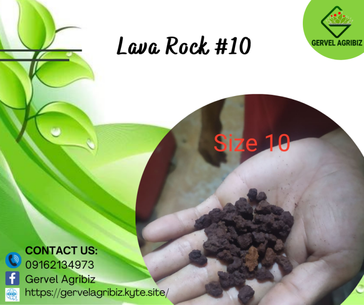 Lava Rock #10, 4 Kilograms Pack, Organic Garden Supplies For Cactus And ...