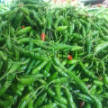Cabai Rawit Hijau Fresh 1 KG Murah. 