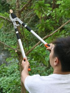 กรรไกรตัดกิ่ง ตัดกิ่งไม้ ด้ามยาว ปรับความยาว68-103cm. 6ระดับๆละ7cm.ใบมีดคมsk5 กรรไกรตัดกิ่งไม้ - Lazada