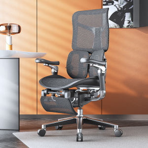 Sihoo Doro S300 Ergonomic Mesh Chair Boss Chair 3-pc Separate Back Design