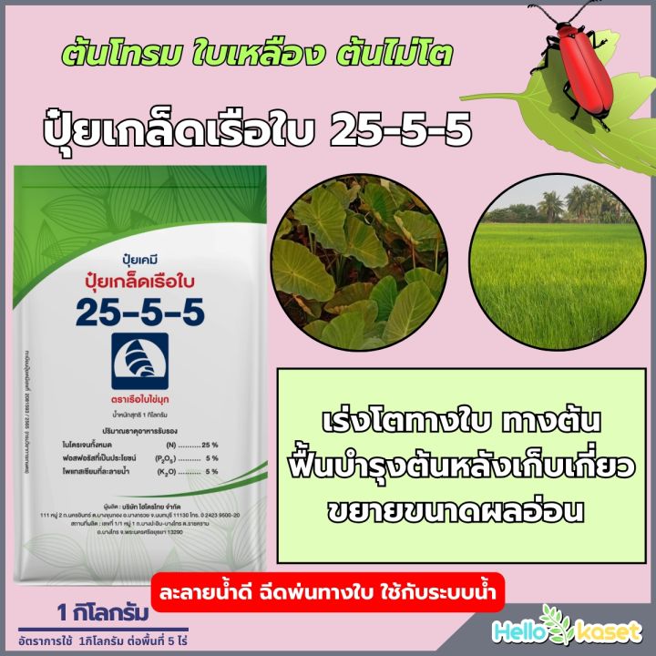 6 อันดับปุ๋ยเร่งต้นเร่งใบ บำรุงพืชเขียวชอุ่ม โตไวทันใจ อัปเดตปี 2025