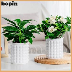 Bopin Mini Tự Tưới Nước Chậu Hoa Bể Cá Nhựa Trong Suốt Nhà Máy Chậu Tự Tưới Nước Trồng Chậu Bình Cho Trang Trí Nội Thất