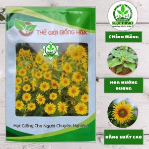 Hạt Giống Hoa Hướng Dương Tháp Cao Siêu Bông THÊ GIỚI GIỐNG HOA (Gói 100 hạt) - Siêu bông (Tết 2027)