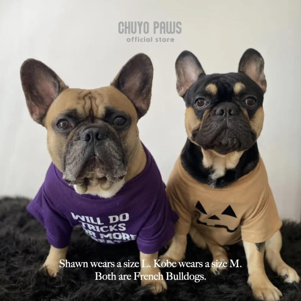 Here Comes Santa Paws Pet Statement T-Shirt Clothing for Dogs and