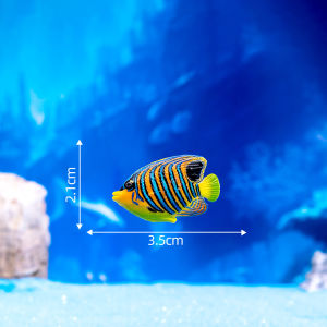 Mô hình cá biển san hô trang trí bể thủy sinh tiểu cảnh terrarium DIY