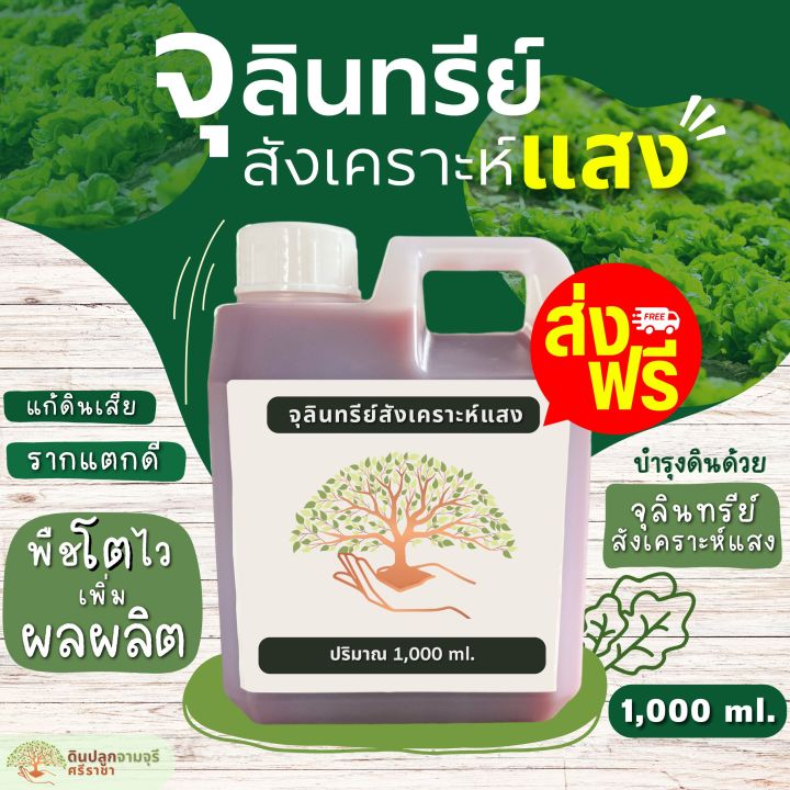 จุลินทรีย์สังเคราะห์แสง 1000 ml. สูตรเข้มข้น เร่งราก