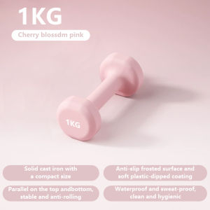 Dumbbell Set Gym Dumbbell 1kg/2kg/3kg/4kg Exercise Fitness Exercise Home Weight Training Workout Neoprene Dumbell