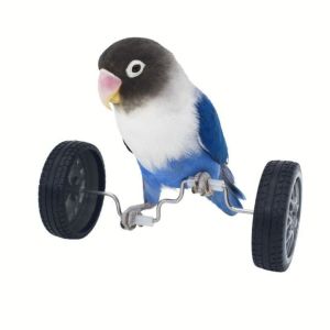 PLLEWY Plastic Parrot Balance Bike Toy Lightweight Birds Intelligence Toy Creative Birds Training Bicycle Small Medium Birds