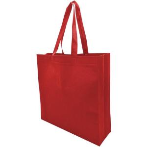Lora Non Woven Bag Recycled Bag Shopping Bag Tote Bag Gift Bag Eco Bag Groceries Bag