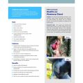 【Hot sales】Vetericyn VF Plus Antimicrobial BARRIER GEL / HYDROGEL for Dogs & Cats  Wound Dressing. 