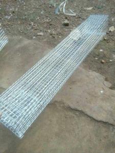 Lồng bẫy rắn 2 hom loại dài 75cm