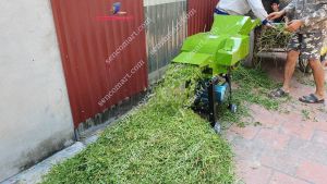 Máy băm cỏ voi có lô cuốn tự động giá rẻ ship hàng toàn quốc