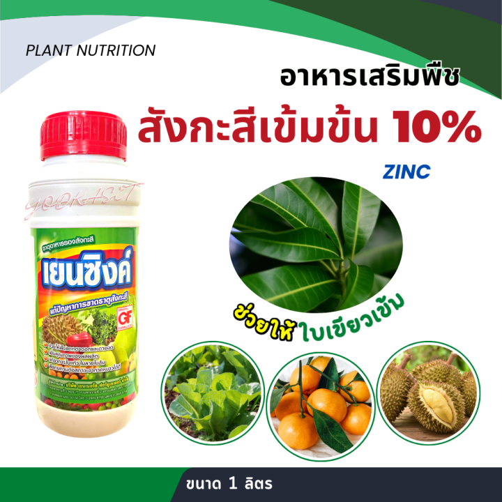 สังกะสี เข้มข้น 10% Zinc Zn เดี่ยว แก้ใบแก้ว