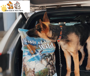 Thức ăn chó TASTE OF THE WILD [BAO NGUYÊN SEAL 12.2kg] Vị cá hồi cho chó con