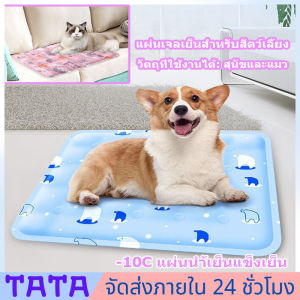 สต็อกพร้อมส่งจากไทย สัตว์เลี้ยง ที่นอนเจลเย็น แผ่นเจลเย็น แบบมิตร เบาะนอนเย็น สำหรับสัตว์เลี้ยง ที่นอนสัตว์เลี้ยง แพลตฟอร์มช่องที่นอนเย็น ราคาที่นอน 399 บาท