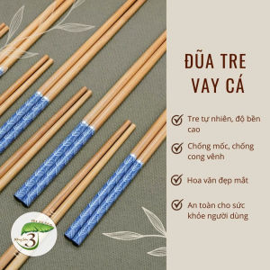 Hộp Đũa Gỗ Tre Vây Cá Viền Xanh Cao Cấp Chống Mốc - 1 Hộp 10 Đôi - Tre Phương Bắc