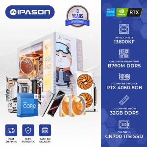 IPASONPC| Meow High End Gaming PC / Intel i5 13500KF 14 Core / RTX 4060Ti / DDR5 6000 32GB / 1TB SSD / Gaming Desktop Computer
