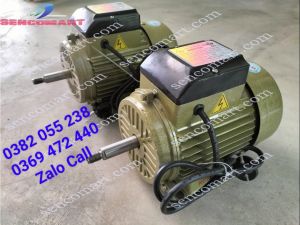 Động cơ điện 1 pha 220v 1100w vòng tua 2900v/p