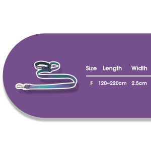 XPAWS Multi-Use Pet Leash Alloy Attachment D-Ring Rotating Lock Quick Release Buckle Adjustable Length