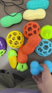 Durable TPR Dog Chew Toy Textured Squeaky Toy for Puppies and Dogs