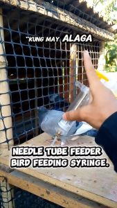 10/20/50ML Baby Bird Hand Feeding Syringe Bird Syringe Feeder for Handfeeding for Parrots Lovebirds