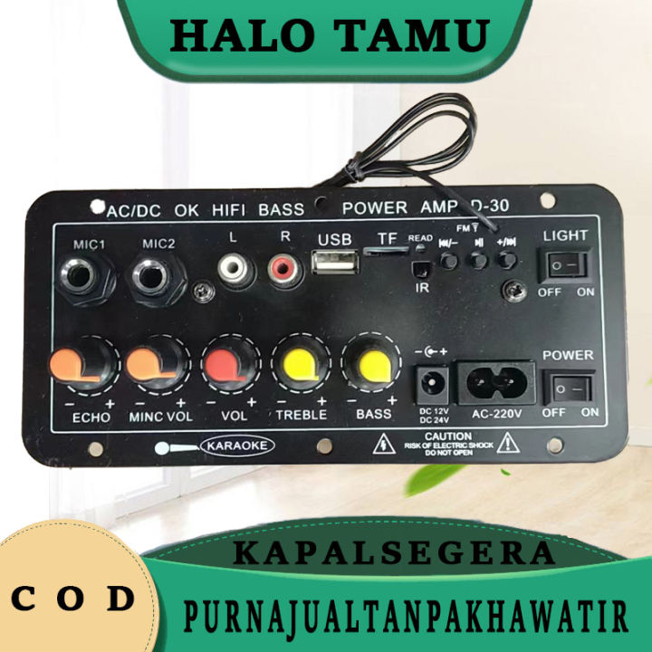 Amplifier Board Audio/D-30 10 inci 12V-24V-220V universal.Papan