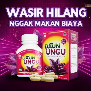 Daun ungu obat herbal BPOM Obat wasir Daun ungu ambeien paling ampuh