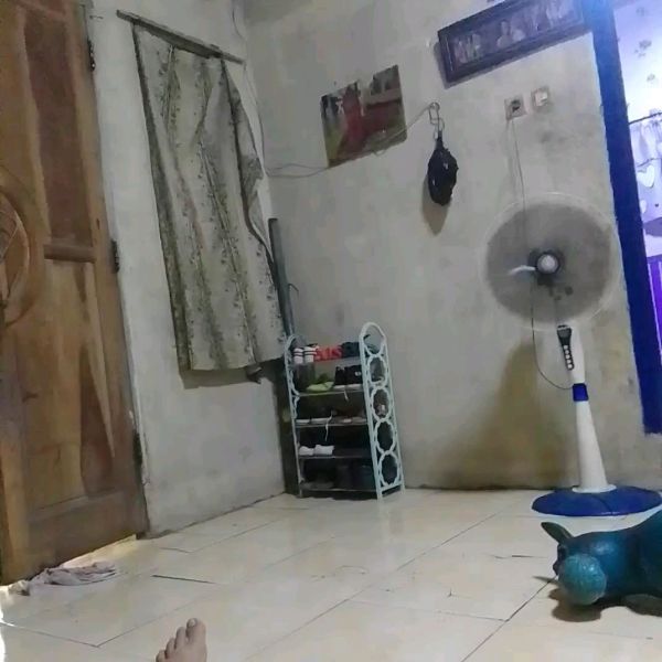 Buyer review video 5