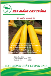 Hạt Giống Bí Ngồi Vàng F1 - Gói 10 hạt KNS