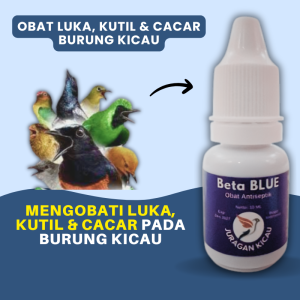 Obat Luka Burung Kicau Koreng Dan Kutil Agar Cepat Sembuh