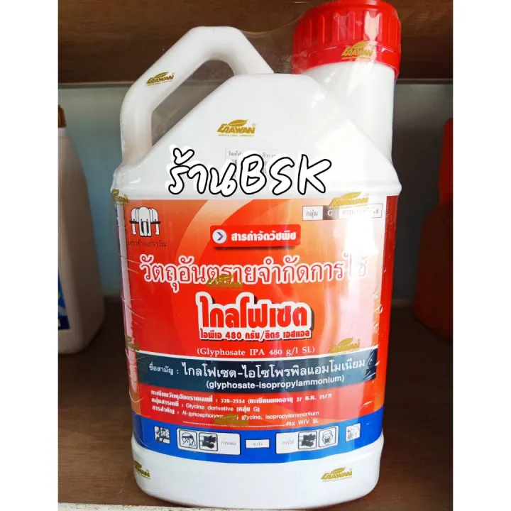 ไกลโฟเสต ตราช้างเอราวัณ กำจัดหญ้า ดูดซึม สู้ฝน