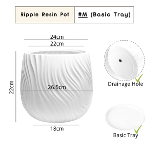 【SG Evergreen】Large Resin Planter Pot Indoor Outdoor Gardening Pot Flower Pots with Drainage Hole Planter Box Plant Vase Plant Pot with Tray
