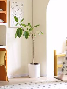 Nordic Medieval Bookshelf Creative Bookcase Study Cosmetic Table Multi-layer DIY Shelves Storage Rack