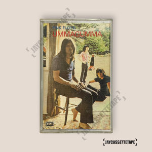 Pink Floyd อัลบั้ม Ummagumma เทปเพลง เทปคาสเซ็ต เทปคาสเซ็ท Cassette Tape เทปเพลงสากล