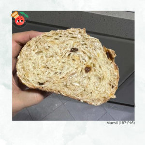 💯Natural Yeast Muesli Sourdough (1R7-P16)