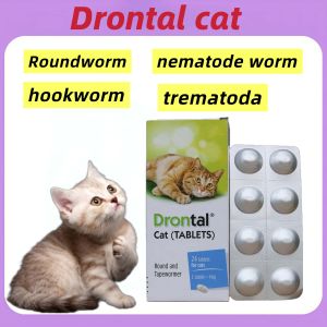（buy 3 free 1）Drontal Deworm Cat 1-Tablets Tasty Tablet for Cat  Vet Recommend (Exp 2029)