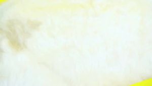 Electric Shaking Bird ， Cat toy ， Birdsong ， Simulation Toy ， Cat Self-Entertainment