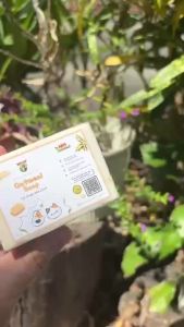 Oatmeal Soap (For Cats & Dogs)