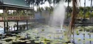 ปั้มน้ำพุแบบทุ่นลอย อาวาน่า รุ่น SL-750FRS(T) ยอดสูง 5m