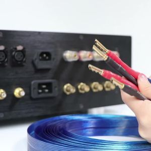 Nordost Blue Heaven Speaker Cable Hifi Audio Cable Silver-plated OFC Loudspeaker Wire Flat  Audiophile Cord for Amplifier DVD CD