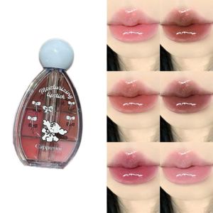 HONG LAN 6 Colors Lip Gloss Palette Long Lasting Waterproof Mirror Lip Jelly Velvet Lipgloss Portable Lip Jelly Plate Daily Use