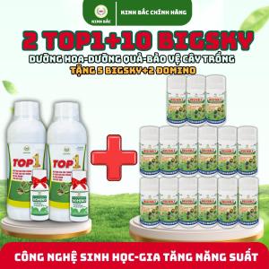 (Combo 2Top1+10Bigsky)-(Tặng 5Bigsky+2Domino+1 Siêu kích rễ)-Đặc trị côn trùng và nấm bệnh bảo vệ cây trồng toàn diện