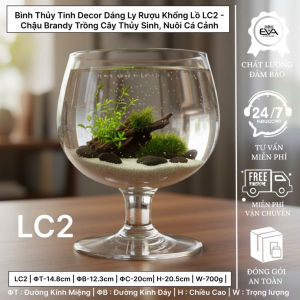 Chậu Cây Thủy Sinh Kết Hợp Bể Cá Mini Hourglass Lọ Thủy Tinh Trang Trí Không Gian