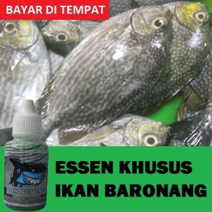 Essen Khusus Ikan Baronang Paling Jitu