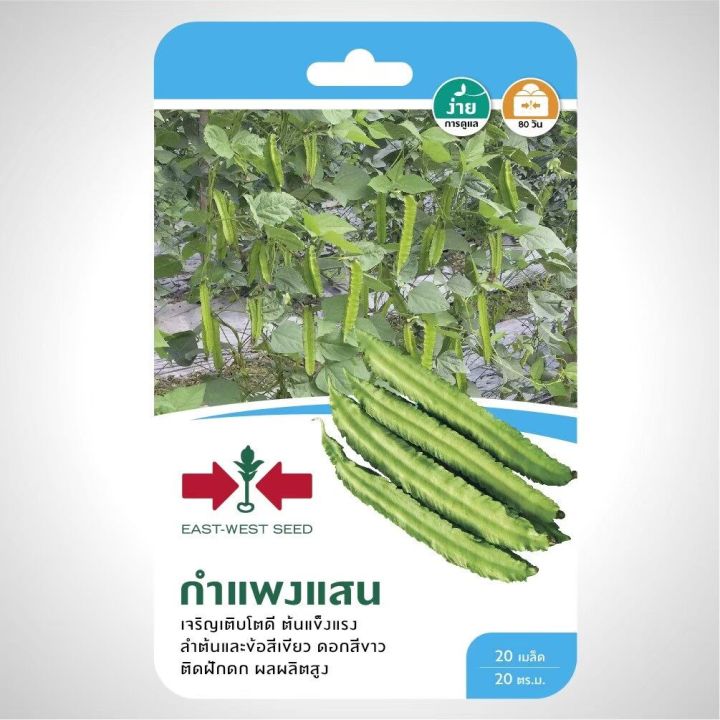 เมล็ดพันธุ์ถั่วพู กำแพงแสน F1 ตราศรแดง ฝักสวย คุณภาพดี