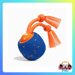 Cheerble Wicked Ball Rolly 2026 Interactive Toy for Dogs Gentle Chewers
