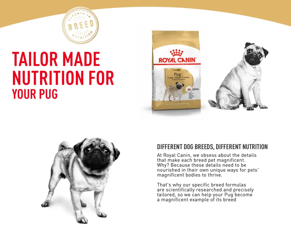 Royal canin breed health nutrition hotsell pug adult dry dog food