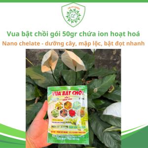 Phân Bón Vua Bật Chồi 50g Kích Mầm Ra Lá Nhanh Cho Rau Hoa Cây Cảnh Có Loại Thường Và Chelate Cao Cấp